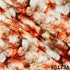 Digital Print Pashmina Fabric- F5173